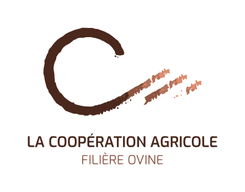 Logo filière ovine