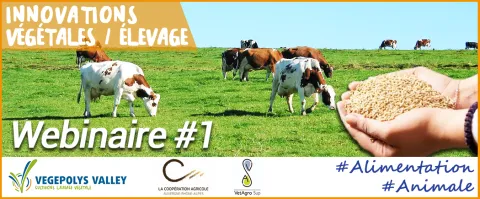webinaire VEGEPOLYS VALLEY-LCA ARA