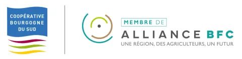 bourgogne du sud