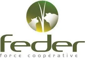 Feder