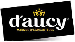 logo d'aucy 2024