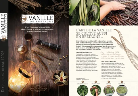 Prince de Bretagne - Vanille