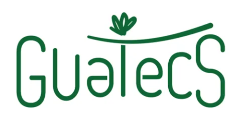 Logo Guatecs