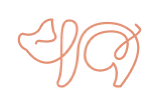 Porcine
