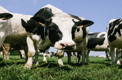 Prospérité Fermière