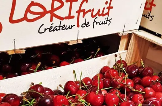 lorifruit