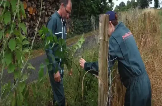 Maïsadour - Projet Agroforesterie