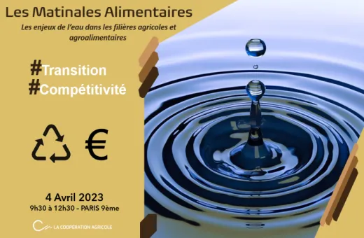 Matinale Alimentaire - eau