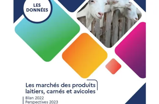 FAM visuel marché carné 2023