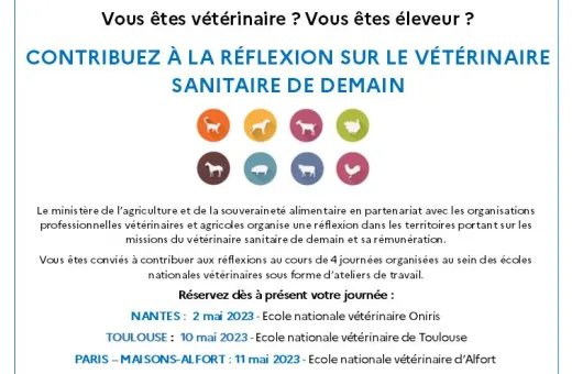 réunions maillage vétérinaire