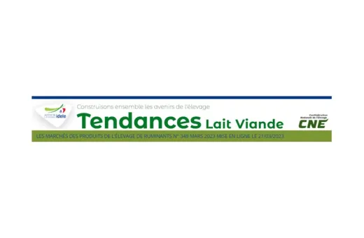 Tendance mars 2023