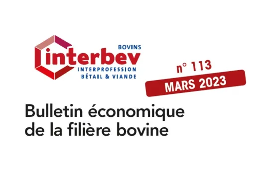 Visuel bulletin eco bovin mars 2023