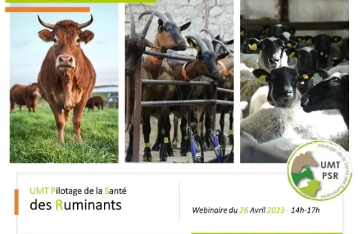 Le prochain webinaire de l'UMT PSR - 26 avril 2023