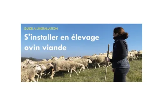 Guide installation ovine