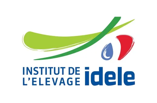 logo idele
