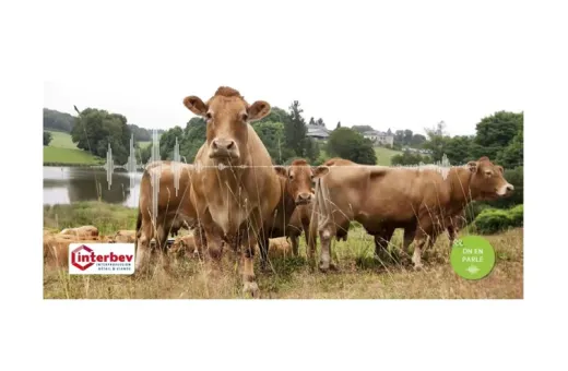 podcacst Interbev modele herbager