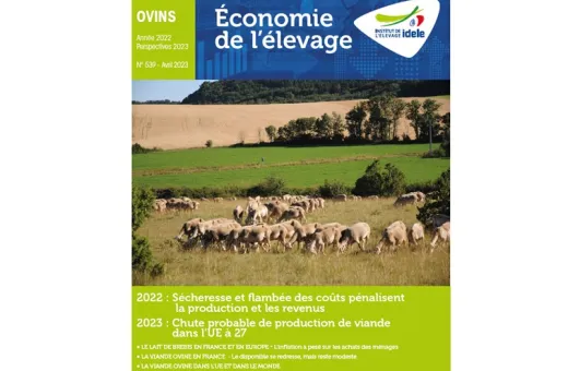 Dossier annuel ovin 2023