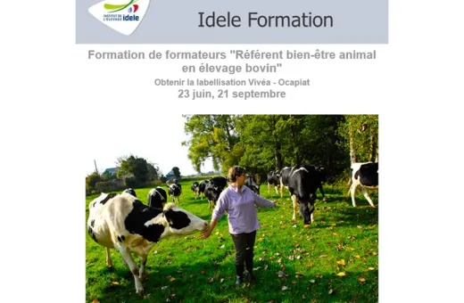 Formation Référent BEA IDELE