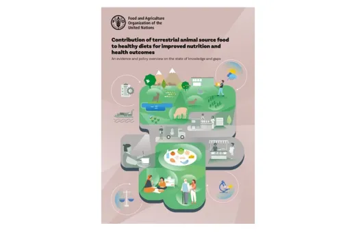 nouveau rapport FAO
