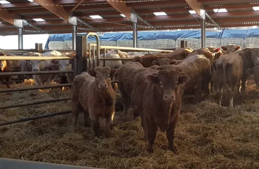 enquete boiteries JB