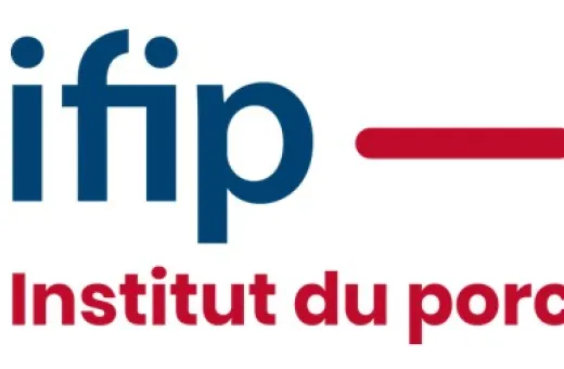 ifip logo