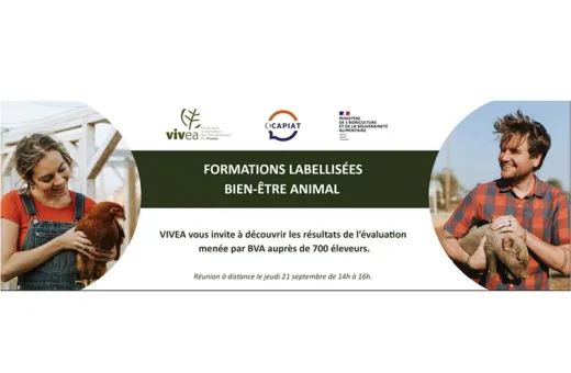 Formation BEA VIVEA