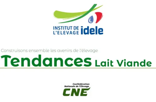 Tendances lait viande