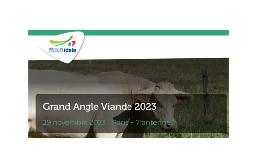GV 2023