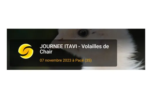 Itavi