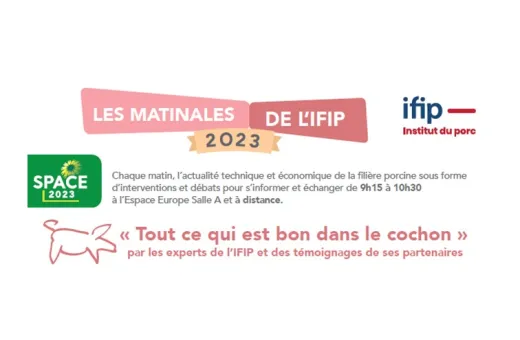 IFIP Matinales
