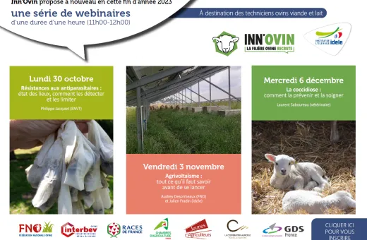 INNOVIN webi 2023