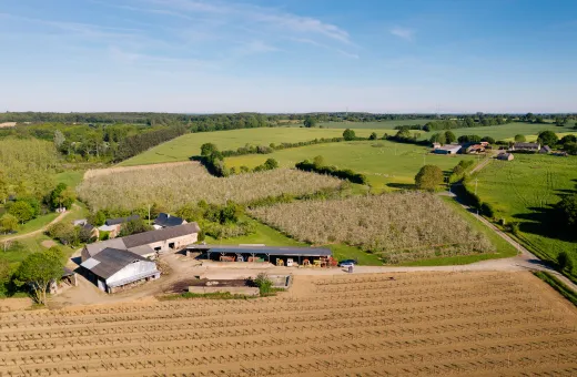 Paysage agricole