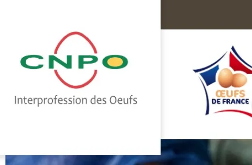 STD CNPO 2023