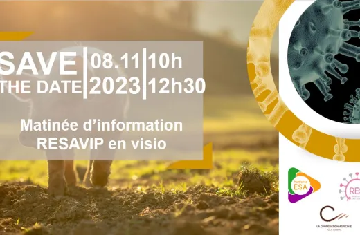 save the date resavip 
