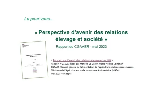 visuel rapport CGAER