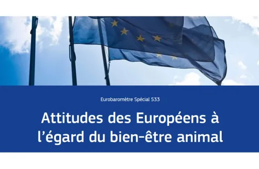 Eurobaromètre BEA