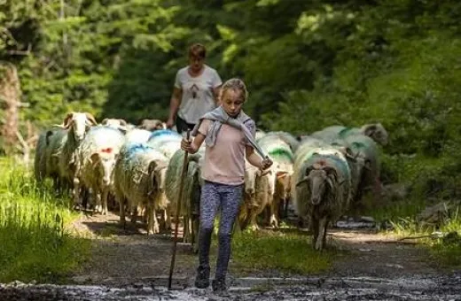 Transhumance 2