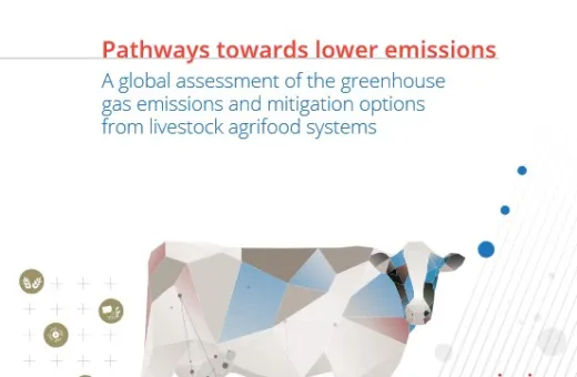 2023 FAO
