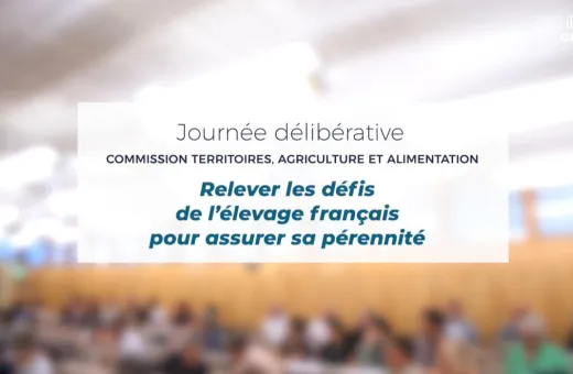 journée délibérative cese