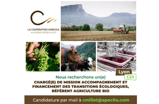 LCA ARA recrute