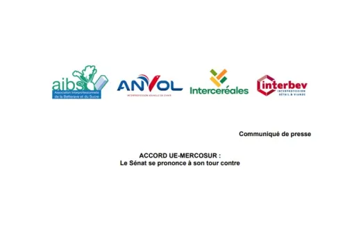 CP mercosur
