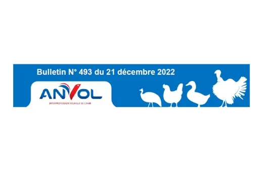 INTERFILIERE493