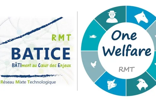 RMT