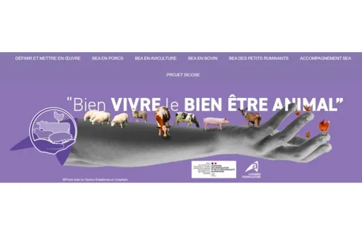Site internet BEA CA