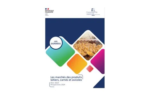 FAM bilan marchés 2023