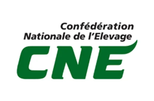 Logo CNE