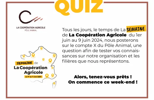 QUIZ PA 2024