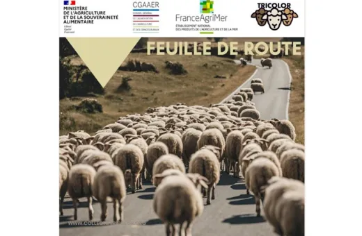 Feuille de route filières lainières