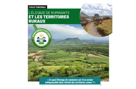 CNE TERRITOIRE