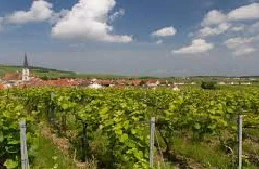 CHAMPAGNE NICOLAS FEUILLATTE